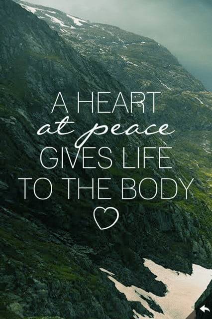 Peace